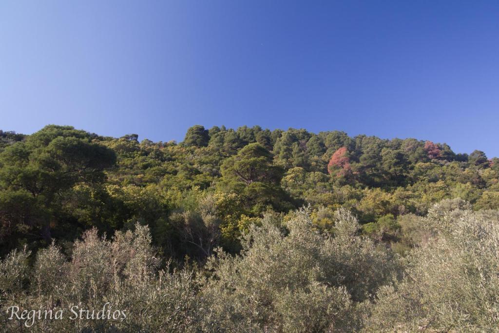 Skalopati Studios & Villa Panormos  Kültér fotó
